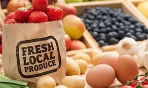 开云体育 开云平台2022年互联网信息服务行业现状及发展前景分析(图5) 开云体育 开云平台2022年互联网信息服务行业现状及发展前景分析(图5)