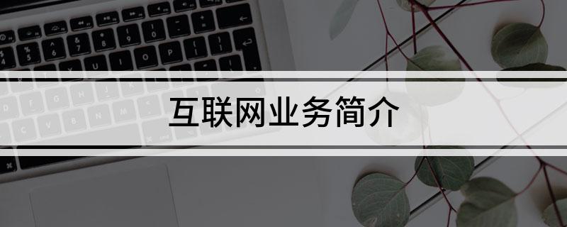 互联网开云体育 Kaiyun.com 官网入口业务简介