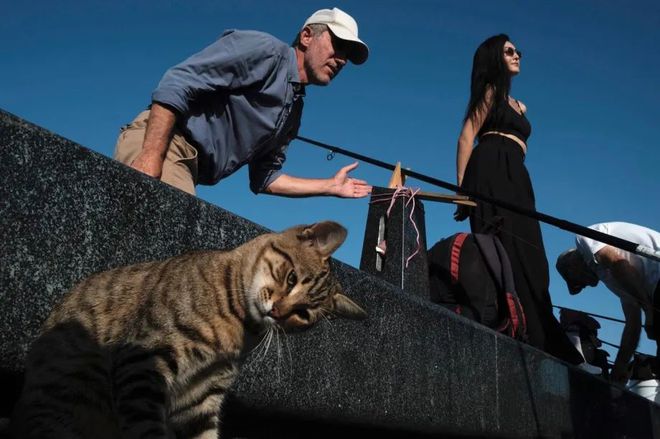 “年纪开云APP 开云官网入口越大越嫁不出去?”(图4) “年纪开云APP 开云官网入口越大越嫁不出去?”(图4)