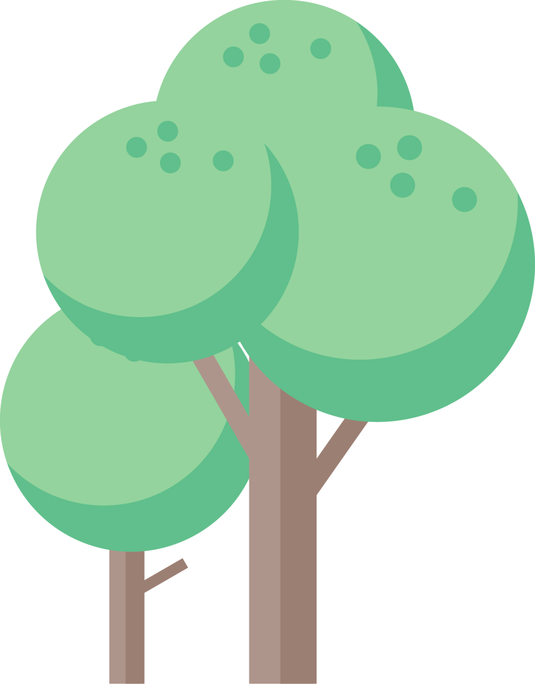 超详细！驾驶开云 开云体育官网证期满换证指南