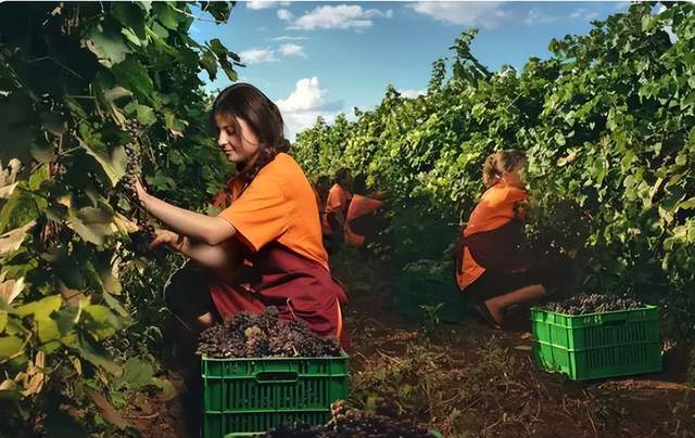 欧洲最穷的国家摩尔多瓦月薪仅开云体育 Kaiyun.com 官网入口3000就能买房买车听起来像吹牛(图2)