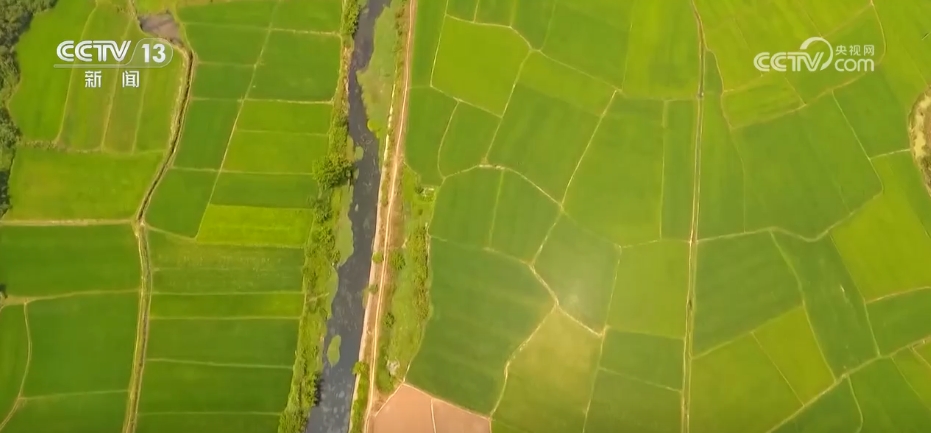 “笃行实干”解民忧、惠民生、暖民心 人民对美好生活的向往不断变为现实开云体育 开云平台(图11)