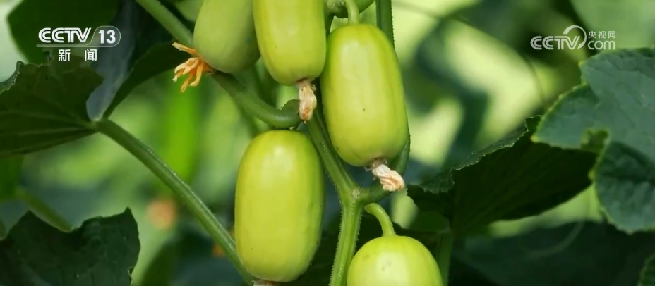 “笃行实干”解民忧、惠民生、暖民心 人民对美好生活的向往不断变为现实开云体育 开云平台(图13)