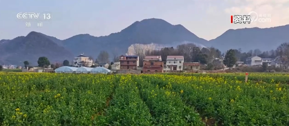 “笃行实干”解民忧、惠民生、暖民心 人民对美好生活的向往不断变为现实开云体育 开云平台(图15)