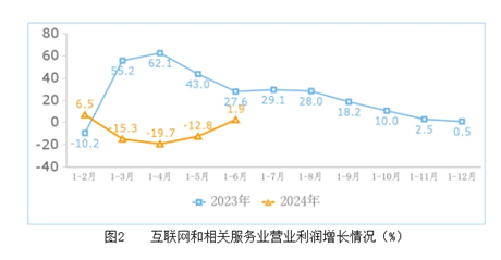 开云 开云体育官网工信部：2024年上半年互联网业务收入保持平稳增长(图2)